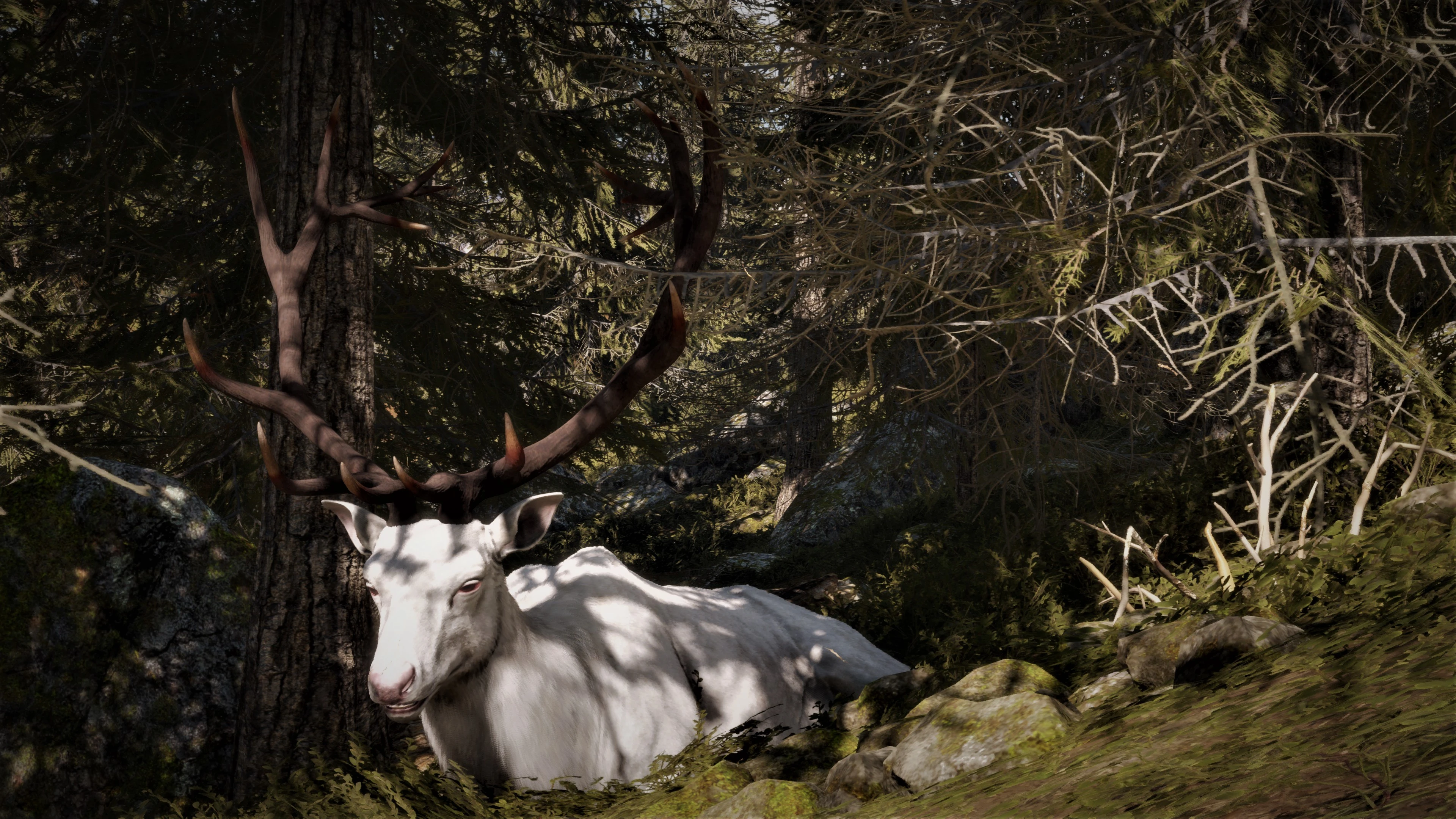 Impressive Spawns At Thehunter: Call Of The Wild Nexus - Mods And Community