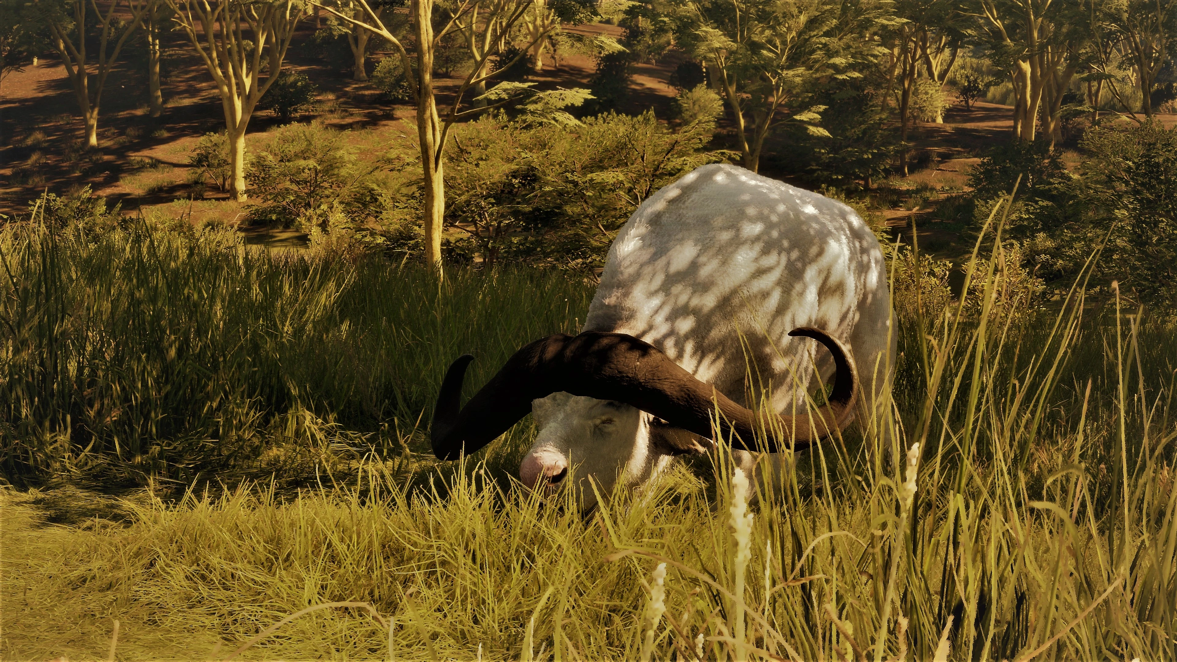 Impressive Spawns At Thehunter: Call Of The Wild Nexus - Mods And Community