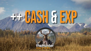 Cash and Exp