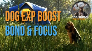 Dog Exp Boost