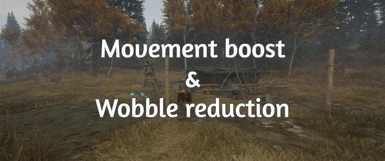 Movement Boost and Wobble reduction