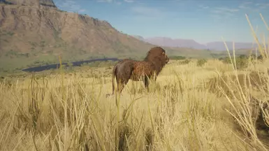 Mmmm textures