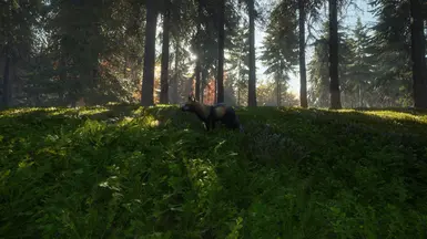 PW's Animal Color Expansion at theHunter: Call of the Wild Nexus - Mods ...