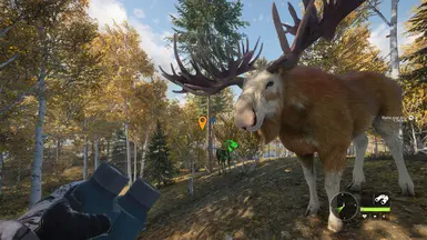 theHunter: Call of the Wild Nexus - Mods and community