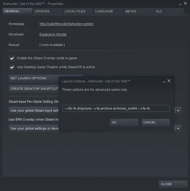 Launch Options in Steam