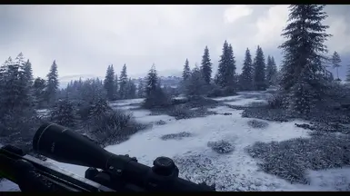 Medved Taiga Bad Weather