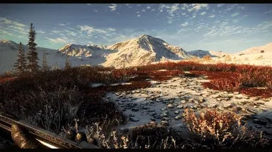 Yukon Valley Morning