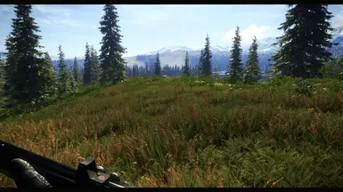 Yukon Valley Day