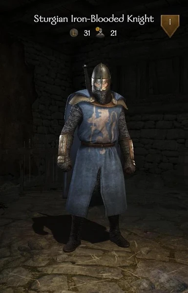 Sturgian Iron-Blooded Knight