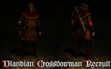 Vlandian Steel - Troops Replacer - EN-FR at Mount & Blade II ...