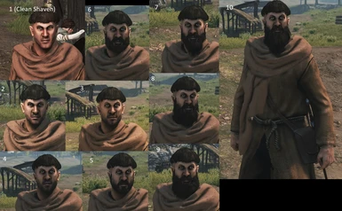 Beard growth stages