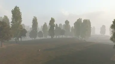 No rain and moderate fog
