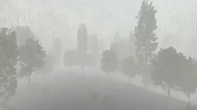 Heavy rain and heavy fog