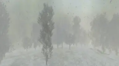 Heavy snow and heavy fog