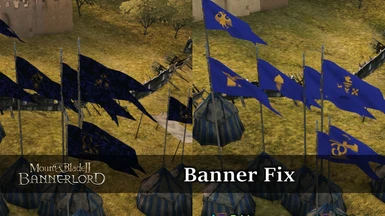 Banner Fix