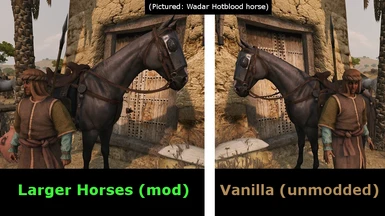 Larger Horses - Bigger Horses - Realistic Horses