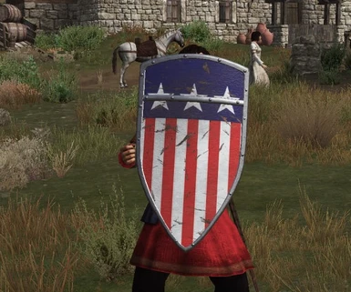 USA shield