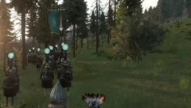 Banner Bearer Fix