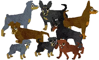 Miniature Pinscher
