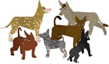 Xoloitzquintle