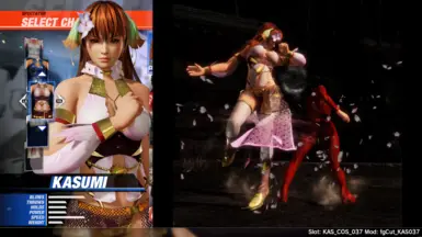 DEAD OR ALIVE 6