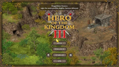 Hero of the Kingdom 3 file for TR(Player File)