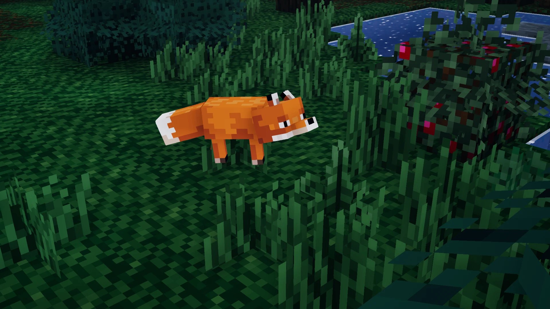 Red Fox Pet ///////Forge/Fabric mods  minecraft