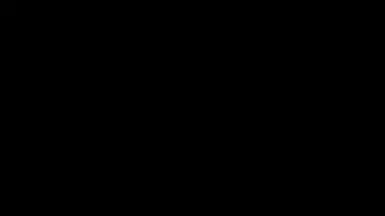 Black/Blank screens is all you'll see