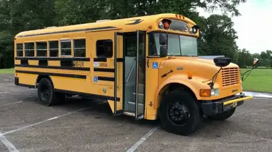 3800 Bluebird