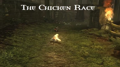 The Chicken Race