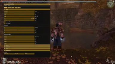 Health &amp; Mana are capped at 290 points each (without any Elixers)