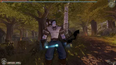 Physical Shield and Multi Arrow now have a black aura