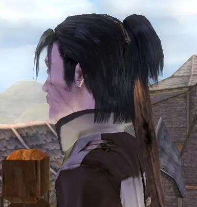 Normal Haircut version