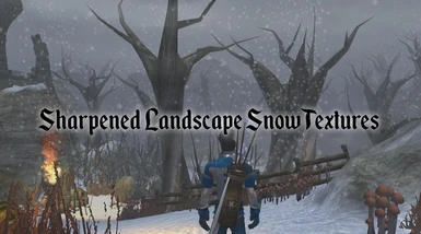 Sharpened Landscape Snow Textures