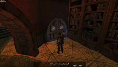Guild Library Door (Gameplay)