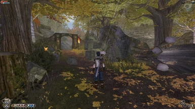 Guild Forest Entrance (Gameplay)