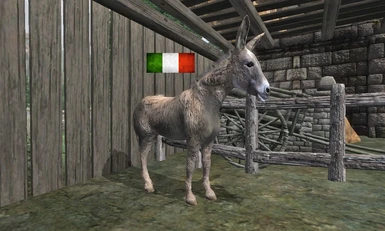 Donkey flute - ITA