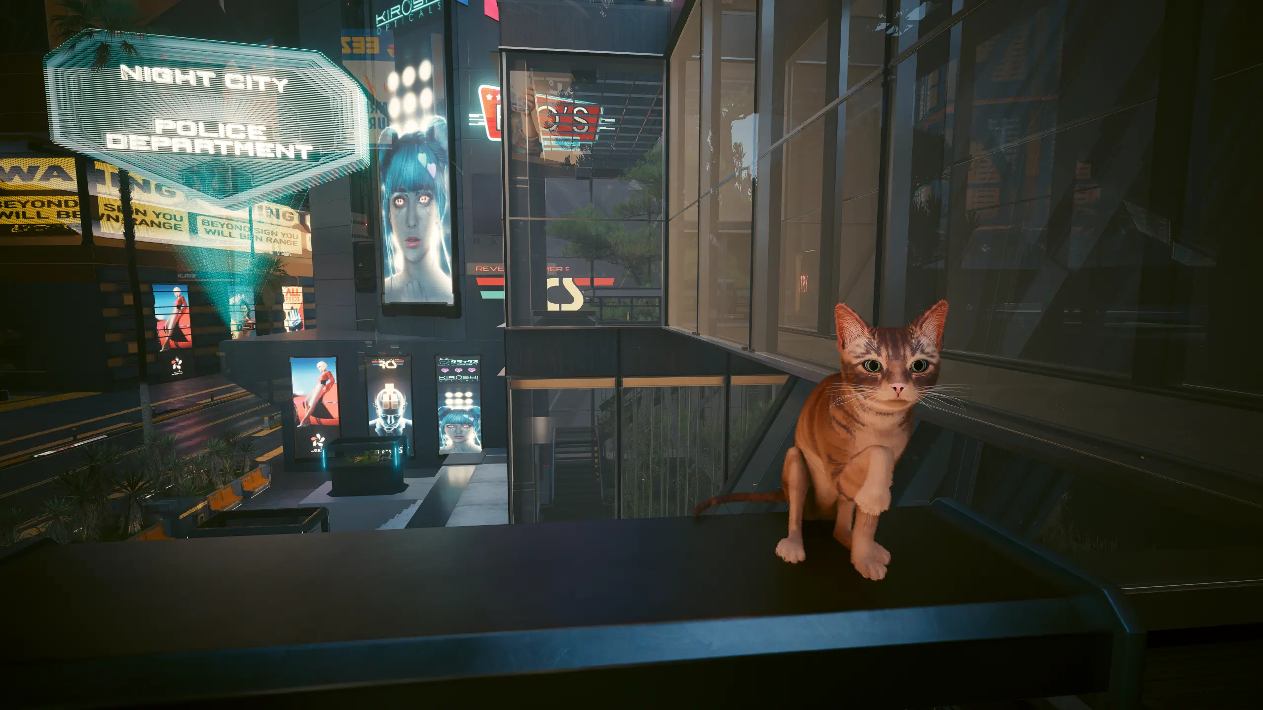 Cat Replacers for Nibbles at Cyberpunk 2077 Nexus - Mods and community