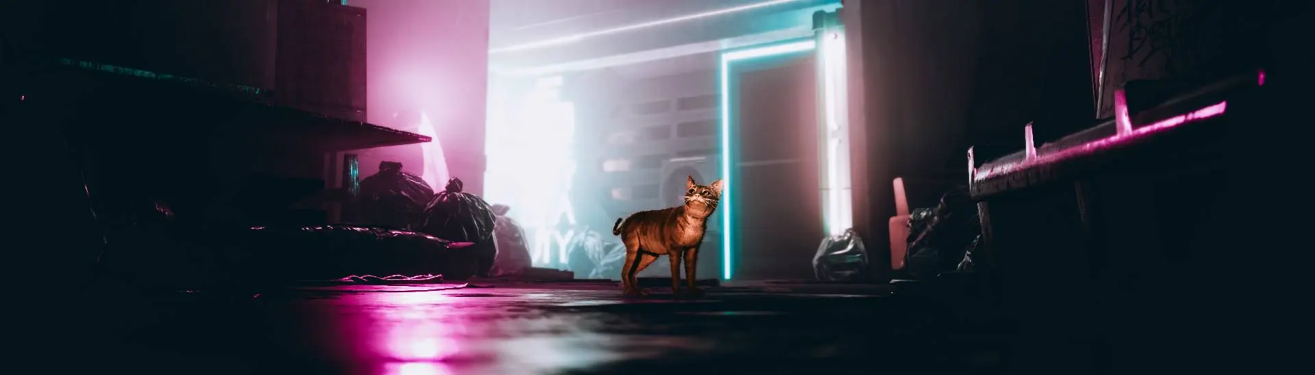 Stray Is a Cat's Perspective on a Dog's Life, Bringing Hope to Cyberpunk