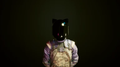 Items.cathelm_a (Requires the CatEars Helmet mod)