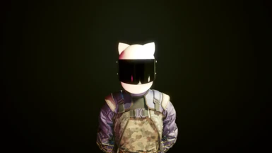 Items.cathelm_c (Requires the CatEars Helmet mod)