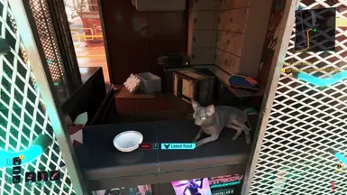 2.1 Cat Pacifica food feed