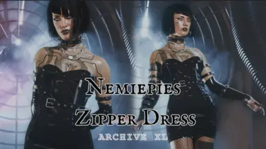 Zipper Dress