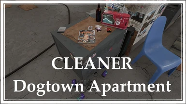 Cleaner Dogtown Apartment