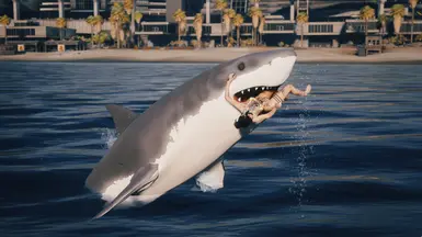 AMM Shark Prop