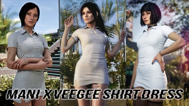 Mani X Veegee Shirt Dress - Archive XL