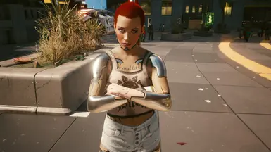 Alternate plastic version