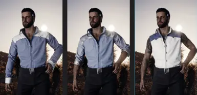 Variant : full sleeves - rolled - sleeveless