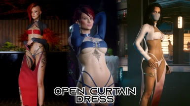Open Curtain Dress