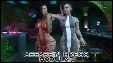 Assassin Dress Modular